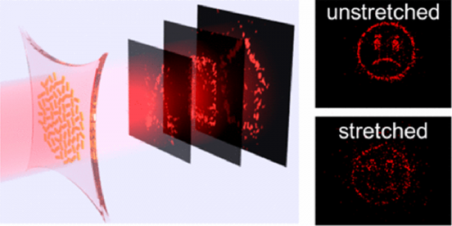 Strain Multiplexed Metasurface Holograms on a Stretchable Substrate