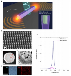 Room temperature polariton lasing in quantum heterostructure nanocavities