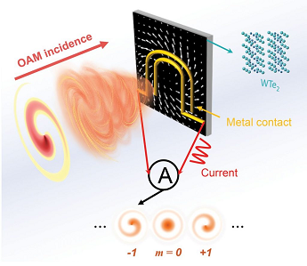 Photocurrent detection of the orbital angular momentum of light